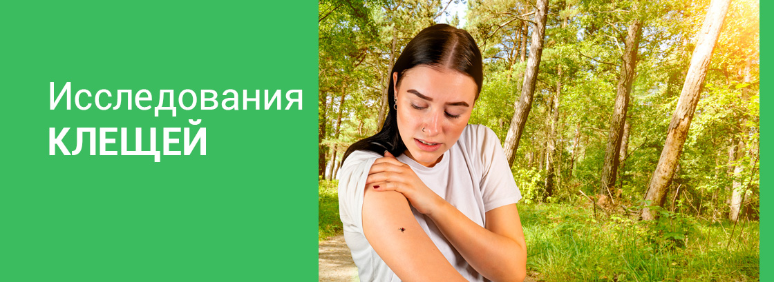 иследования клещей, картинка нр.1.