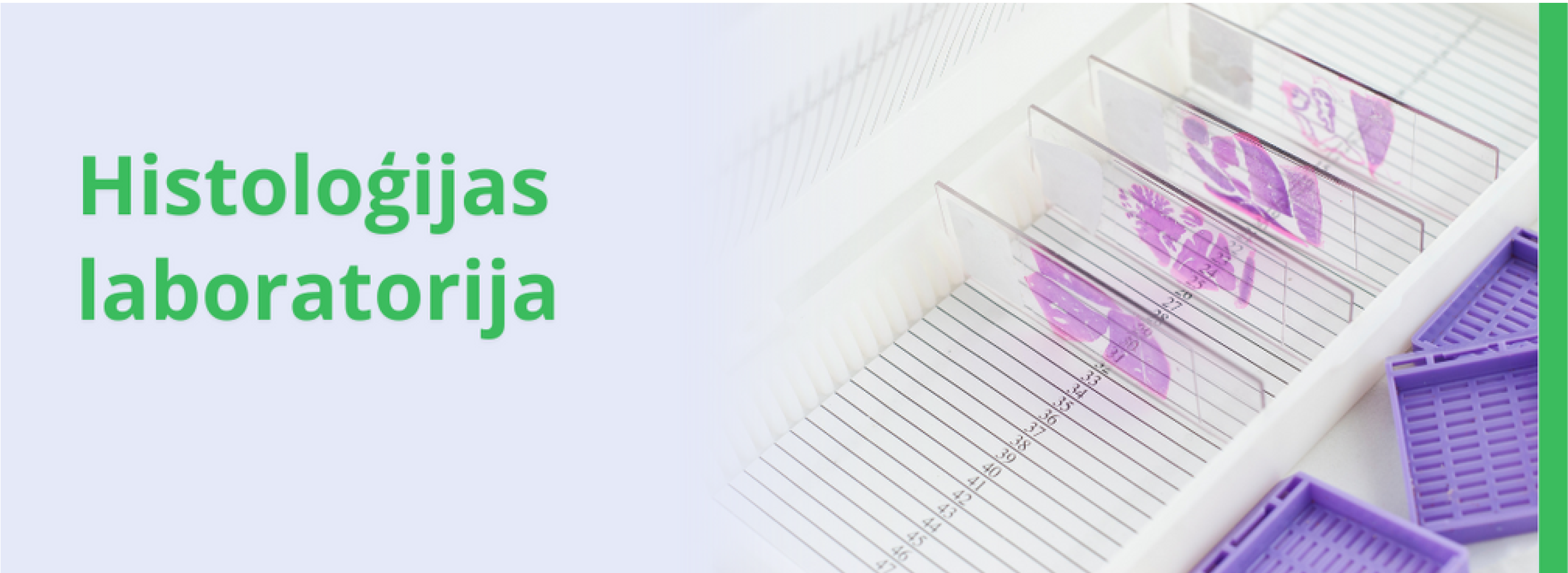 attēls histoloģijas laboratorija
